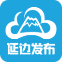 美加墨世界杯F组首轮荷兰队战平日本队